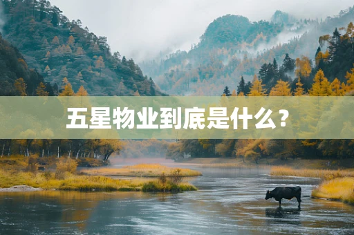 五星物业到底是什么？