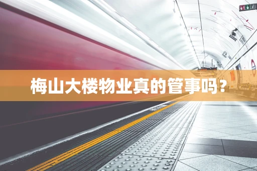 梅山大楼物业真的管事吗？
