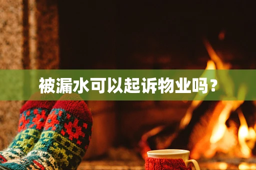 被漏水可以起诉物业吗？