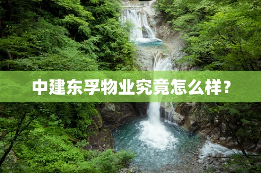 中建东孚物业究竟怎么样？