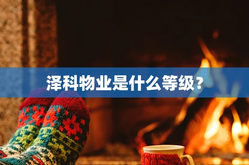 泽科物业是什么等级？
