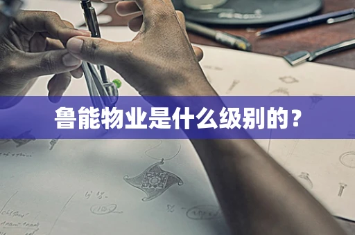 鲁能物业是什么级别的？