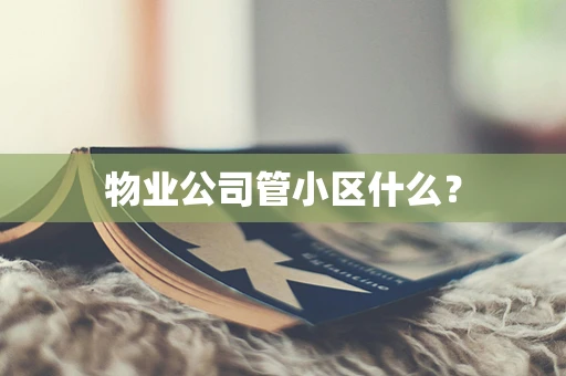 物业公司管小区什么？