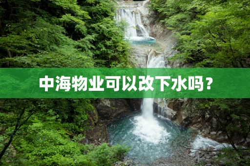 中海物业可以改下水吗？