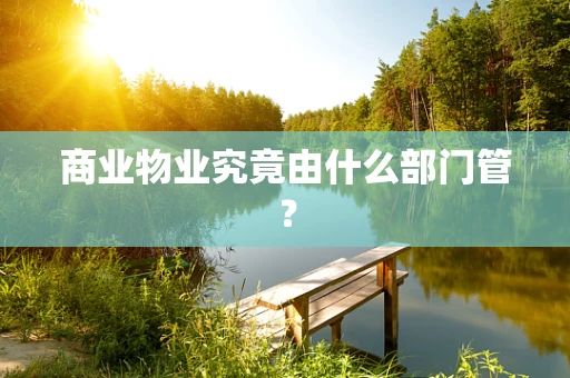 商业物业究竟由什么部门管？
