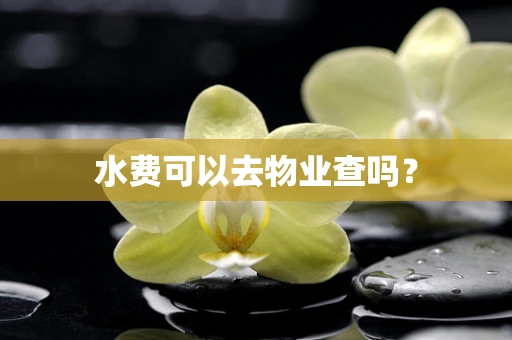 水费可以去物业查吗？
