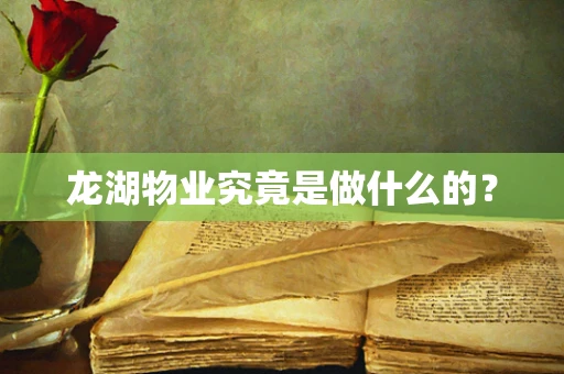 龙湖物业究竟是做什么的？