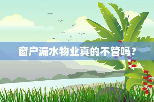 窗户漏水物业真的不管吗？