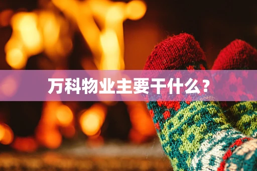 万科物业主要干什么？