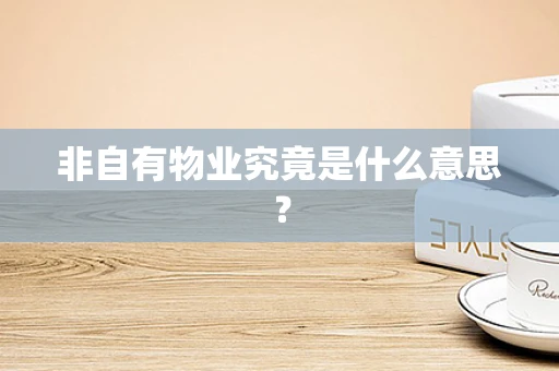 非自有物业究竟是什么意思？