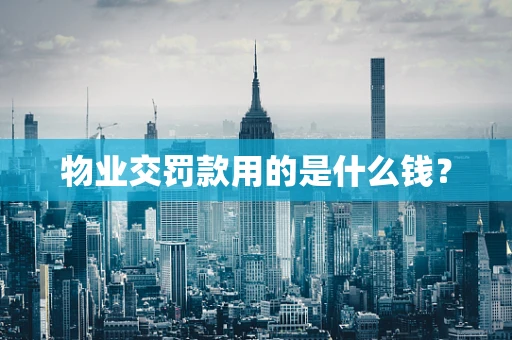 物业交罚款用的是什么钱？