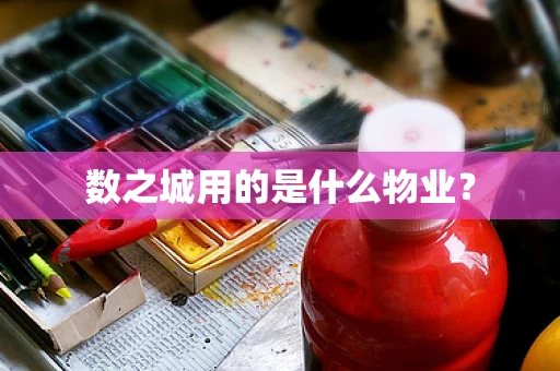 数之城用的是什么物业？
