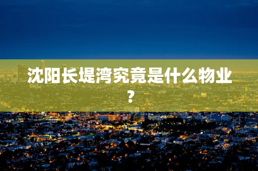 沈阳长堤湾究竟是什么物业？
