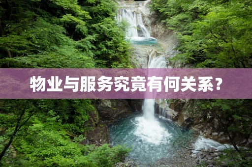 物业与服务究竟有何关系？