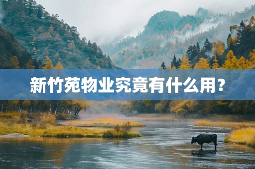 新竹苑物业究竟有什么用？