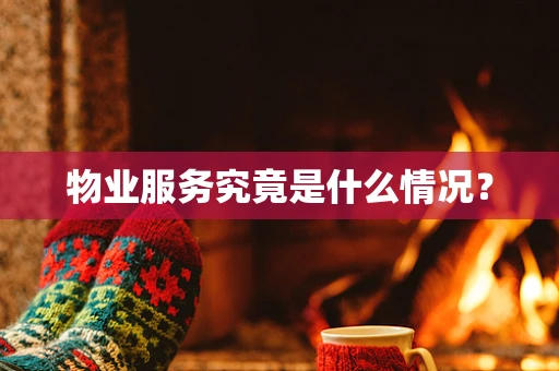 物业服务究竟是什么情况？