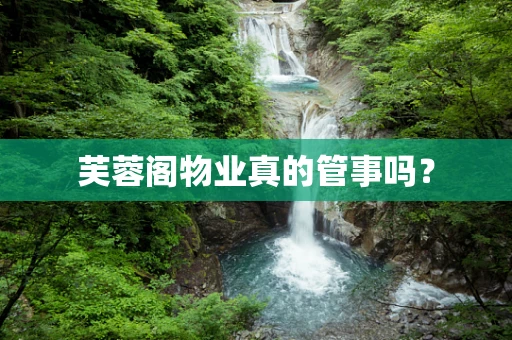 芙蓉阁物业真的管事吗？