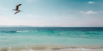 海伦湾物业靠谱吗？