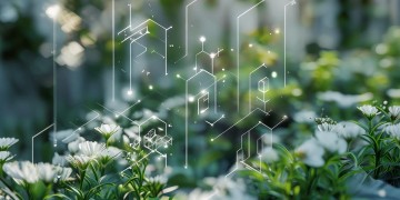 物业服务审核要点究竟是什么？