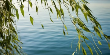 海宁杨柳郡究竟是什么物业？
